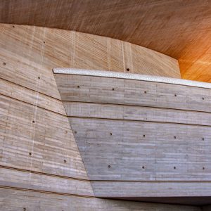 Helena Vidmar_Dotik sonca