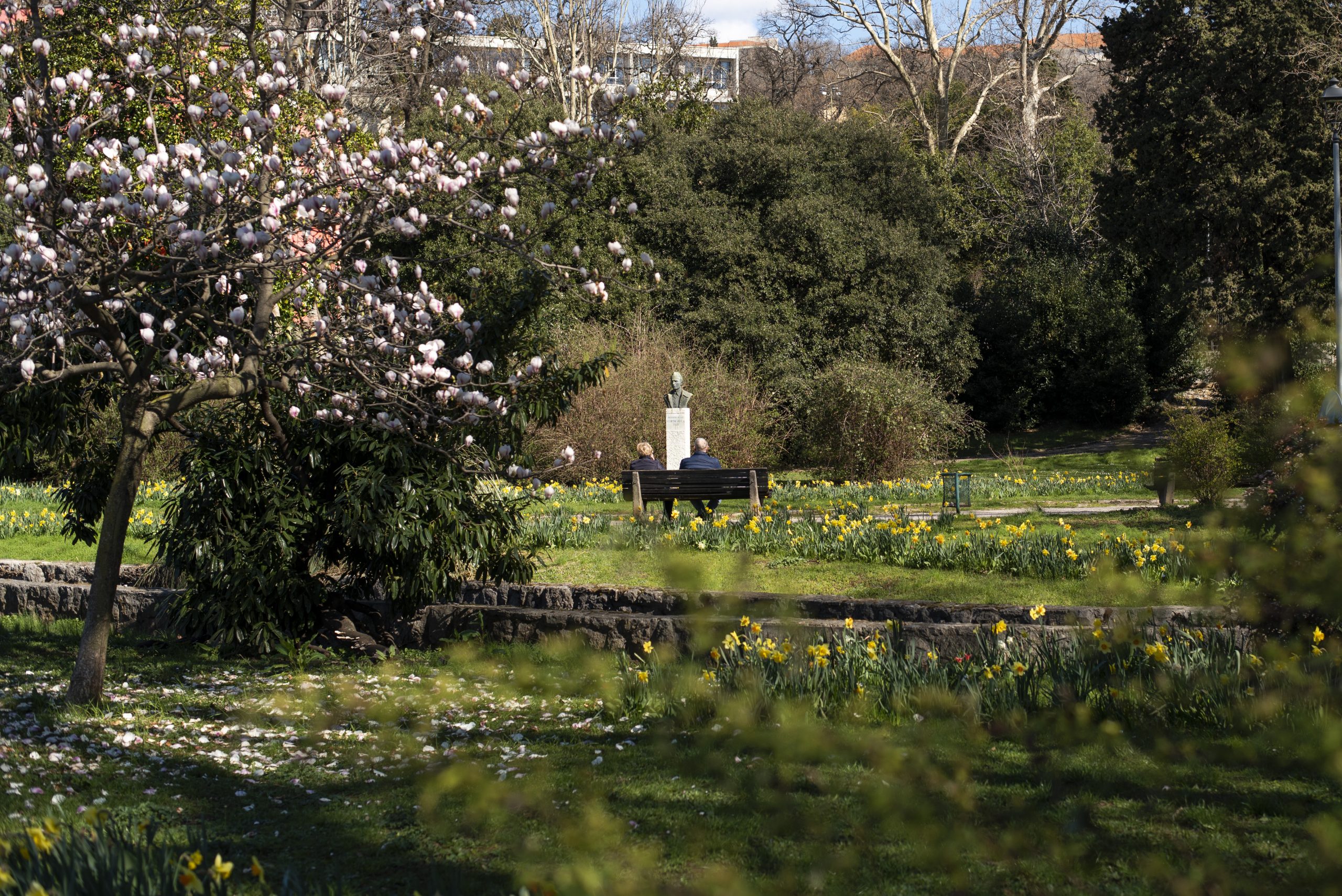 Mlaka, Foto Mara Prpić