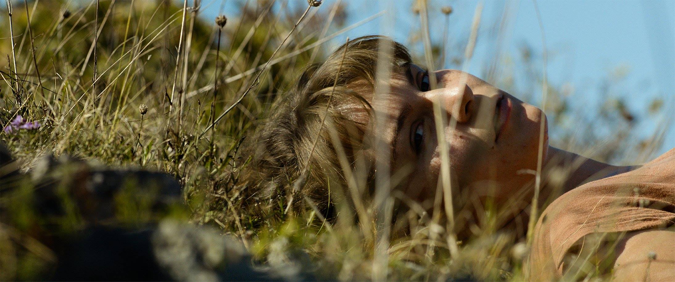 Nagrađivana drama Dalibora Matanića "Zvizdan"