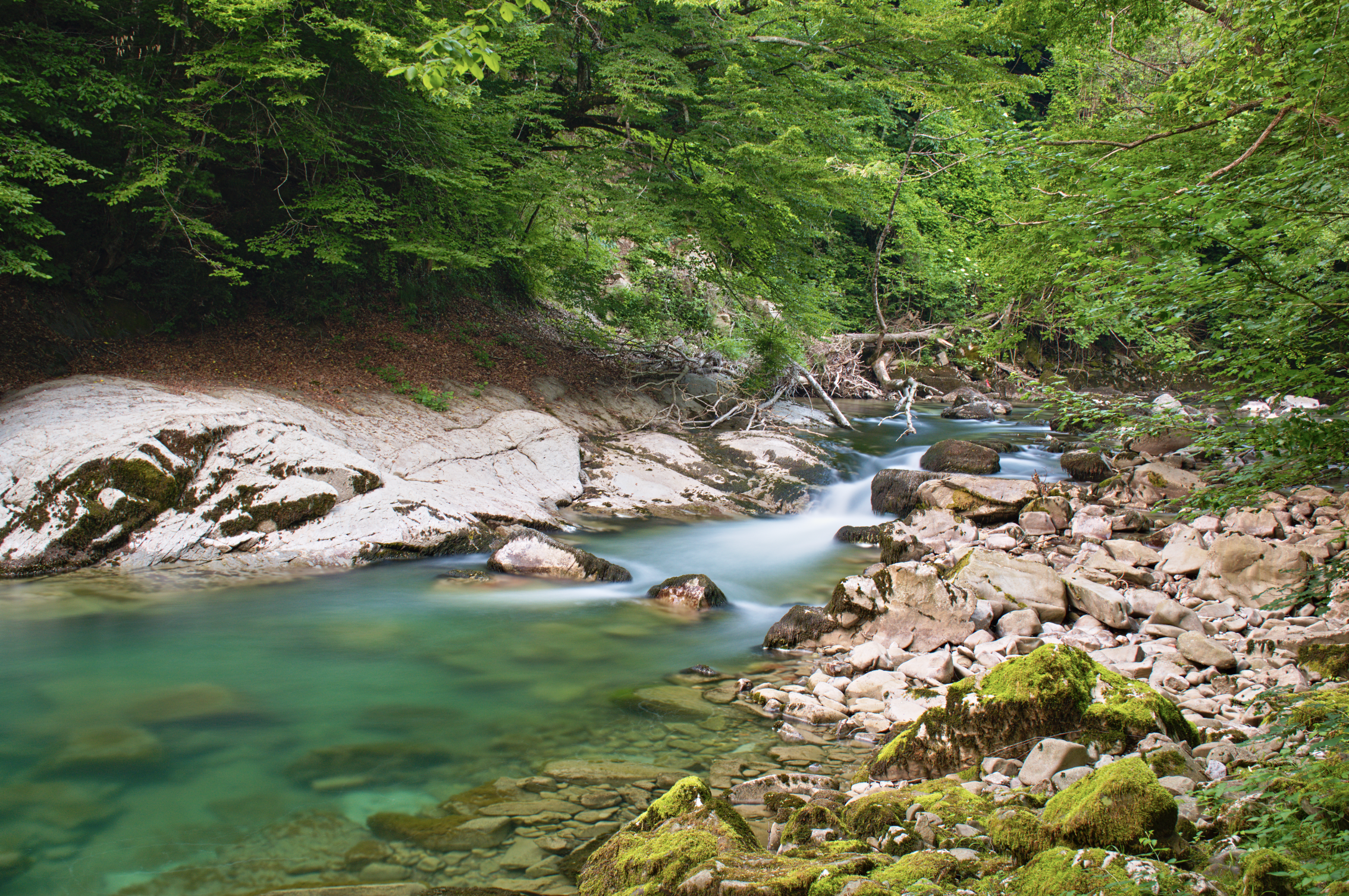 Rječina Foto Zorica Zoretić