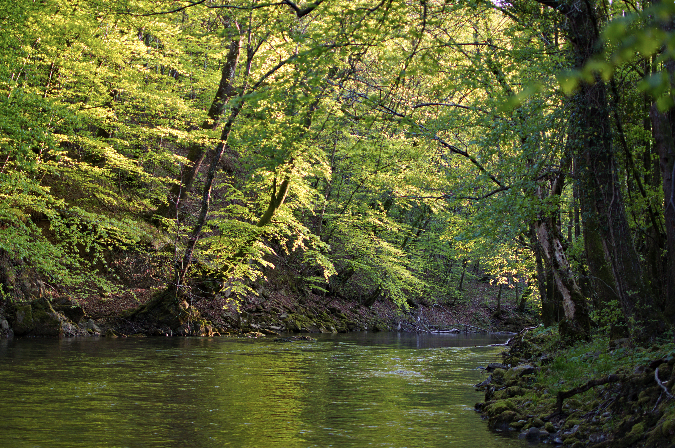 Rječina Foto Zorica Zoretić 