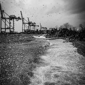 Goran Grudić - Južina