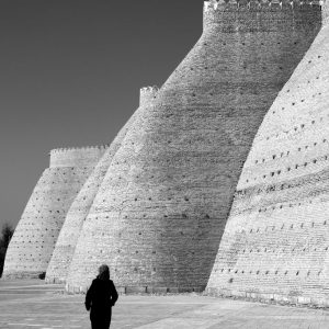 Dubravka Ovcaric - Pohvala - Sjena