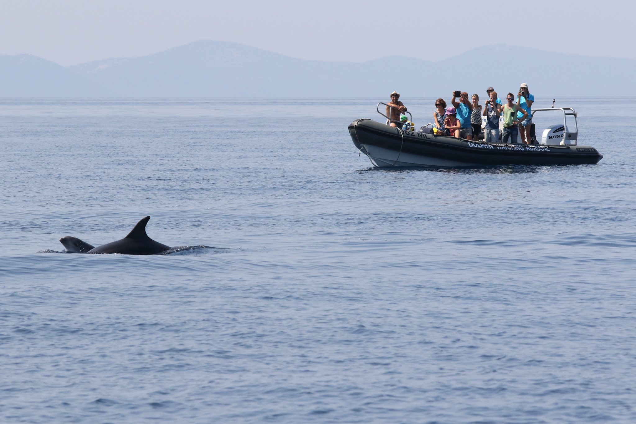 Institut Plavi svijet