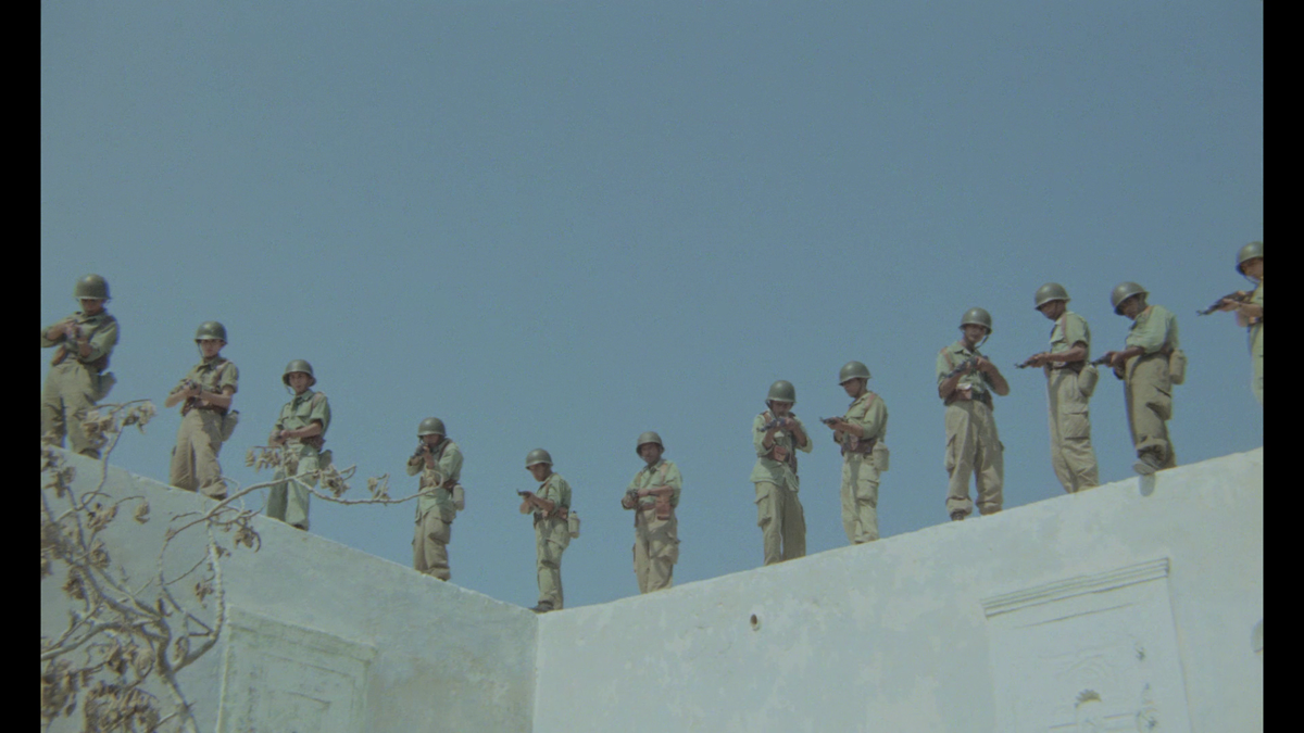 Fernanda Arrabala Viva la muerte