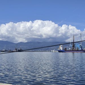 Franka Jurasić, Grad