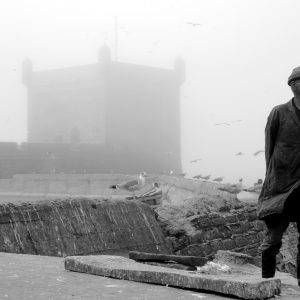 Usporavanje pogleda Dubravke Ovčarić