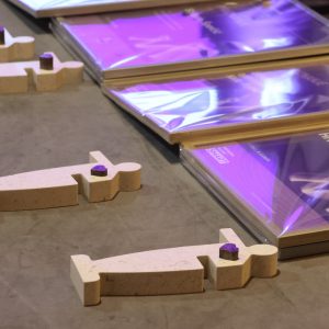 Nagrada za volontere godine