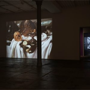 Jelena Juresa Koreografije nasilja