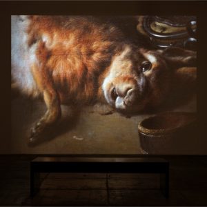 Jelena Juresa Koreografije nasilja