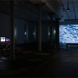 Jelena Juresa postav