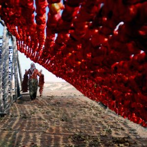 MEHMET ULUYURT (Albania) - KURUTMA