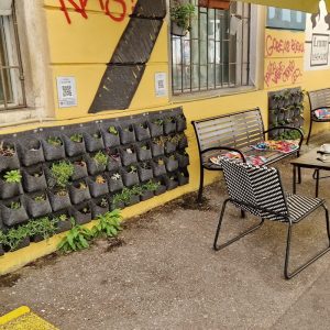 4 godišnja doba Kružne ulice